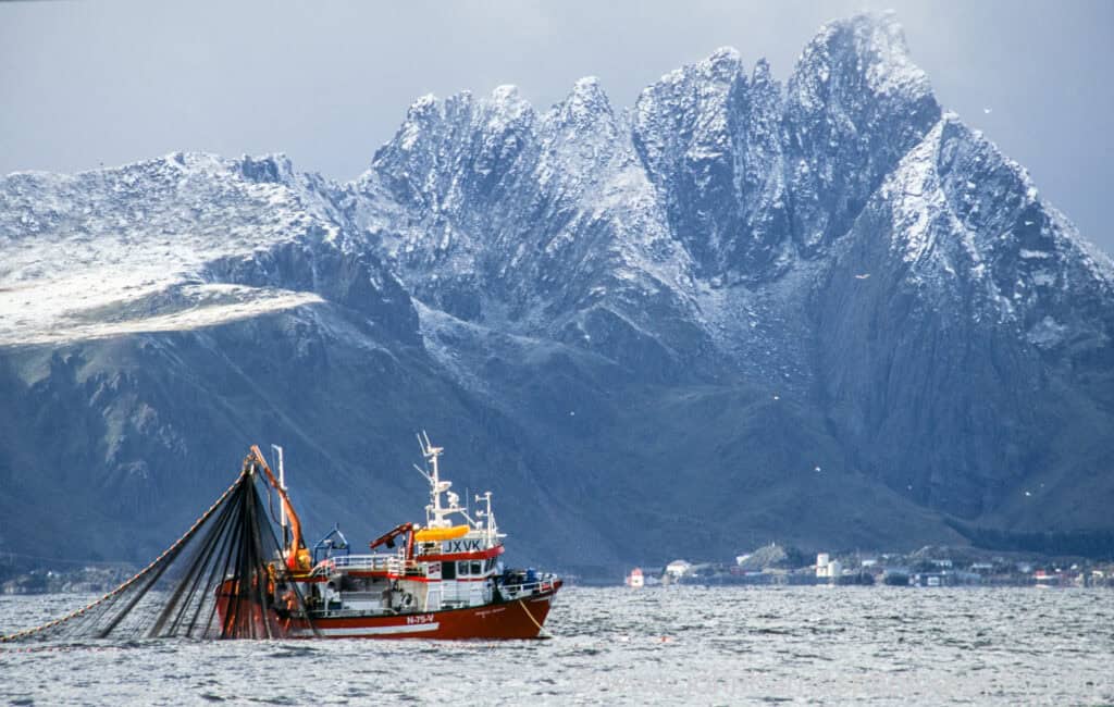 Fishing boat pulling nets in a Norwegian fjord in front of snow capped mountains
